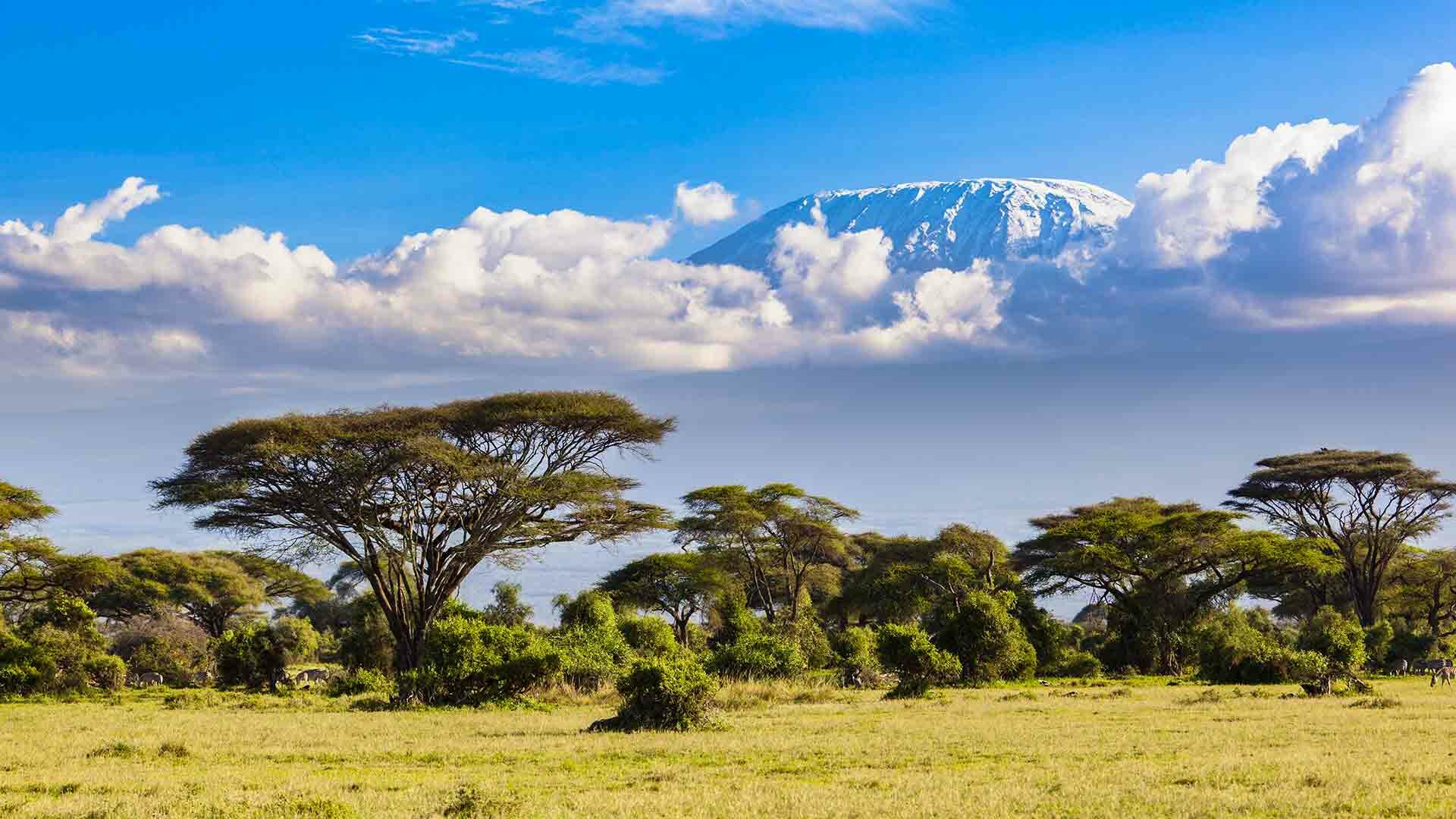 What are the Accommodations on Kilimanjaro?